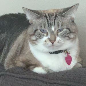 Meet your Posher, Krystal